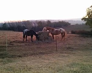 Verblijf 3726601 - Bed and breakfast Kwazoeloe-Natal - Wild Berry Guest Farm