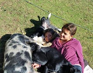 Verblijf 3726601 - Bed and breakfast Kwazoeloe-Natal - Wild Berry Guest Farm