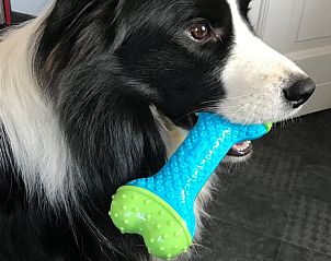 Pet-friendly Holiday Home in Melick, Limburg with playful facilities for dogs.