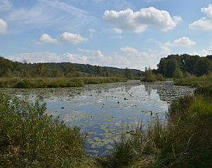 Serene pond near Holiday home in Melick, Central Limburg for relaxing moments.