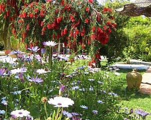 Verblijf 3814801 - Bed and breakfast Costa Almeria / Tropical - Escuela La Crujía