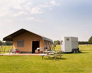 Verblijf 381602 - Tenthuis Noord Limburg - Ranchtent