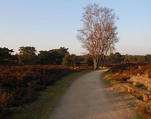 Guest house 381903 - Holiday property Noord Limburg - Vakantiehuisje in Venlo