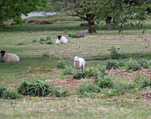 Guest house 38206501 - Apartment England - The Moorland Hotel