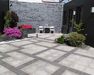 Sommerlicher Auenbereich des Ferienhauses L303 in Venray, Nord-Limburg, mit Grnpflanzen und moderner Optik.