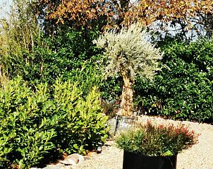 Unterkunft 383718 - Ferienhaus Noord Limburg - Vakantiehuisje in America