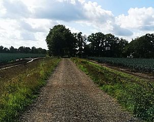 Unterkunft 383718 - Ferienhaus Noord Limburg - Vakantiehuisje in America