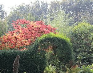 Guest house 384209 - Holiday property Noord Limburg - Vakantiehuisje in Siebengewald