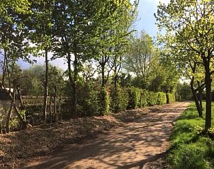 Unterkunft 384606 - Ferienhaus Noord Limburg - L284