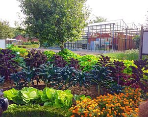 Unterkunft 384606 - Ferienhaus Noord Limburg - L284