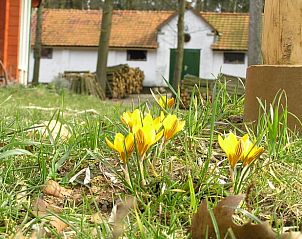 Guest house 385106 - Holiday property Noord Limburg - Vakantiehuisje in Swalmen