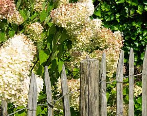 Unterkunft 385405 - Ferienhaus Noord Limburg - Huisje in Evertsoord
