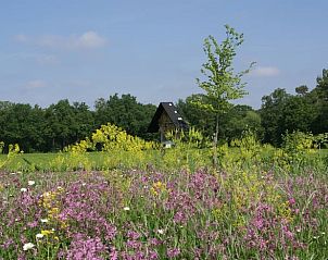 Guest house 386202 - Holiday property Noord Limburg - Huisje in Grashoek