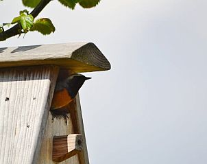 Guest house 386202 - Holiday property Noord Limburg - Huisje in Grashoek