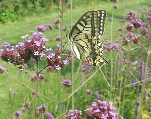 Guest house 386202 - Holiday property Noord Limburg - Huisje in Grashoek