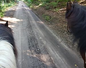 Unterkunft 386701 - Ferienhaus Noord Limburg - Vakantiehuisje in Ottersum