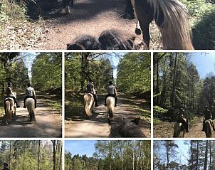 Unterkunft 386701 - Ferienhaus Noord Limburg - Vakantiehuisje in Ottersum