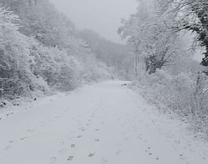 Guest house 390162 - Bed and Breakfast Zuid Limburg - Schuurtje 1860