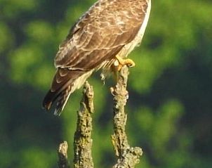 Guest house 390509 - Apartment Zuid Limburg - Buitenverblijf 't Herfse