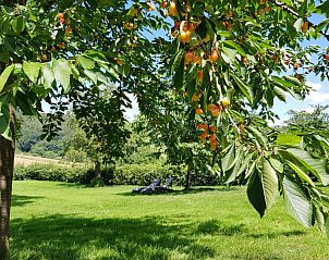 Guest house 390509 - Apartment Zuid Limburg - Buitenverblijf 't Herfse