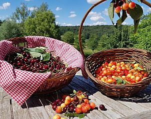 Guest house 390509 - Apartment Zuid Limburg - Buitenverblijf 't Herfse