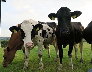 Guest house 390513 - Bed and Breakfast Zuid Limburg - Hof van Kleeberg