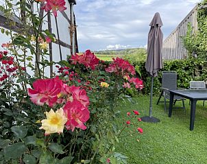 Guest house 390593 - Special overnight stays Zuid Limburg - Frensjerhofke