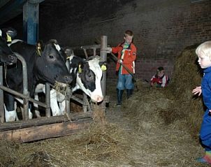 Kinderen voeren koeien op boerderij bij Landgoed Karsveld vakantiehuis in Slenaken, Zuid Limburg.