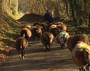 Guest house 391313 - Holiday property Zuid Limburg - Vakantiehuisje in Wijlre