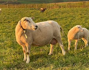 Guest house 391313 - Holiday property Zuid Limburg - Vakantiehuisje in Wijlre