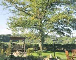 Rustige tuin met vijver bij Hoeve Nelderhof, vakantiehuis in Vijlen, Zuid Limburg.