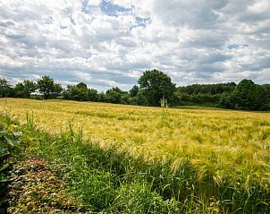 Verblijf 391703 - Vakantiewoning Zuid Limburg - Hoeve Nelderhof