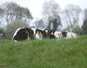 Guest house 391905 - Apartment Zuid Limburg - Meschermolen 5