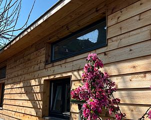 Guest house 392204 - Holiday property Zuid Limburg - Huisje in Banholt