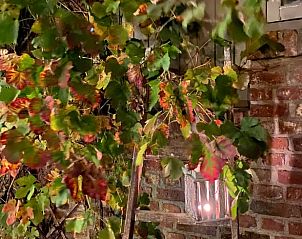 Guest house 392208 - Holiday property Zuid Limburg - Huisje in Banholt