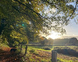 Guest house 395208 - Holiday property Zuid Limburg - Huisje in Mook