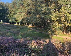 Guest house 395208 - Holiday property Zuid Limburg - Huisje in Mook