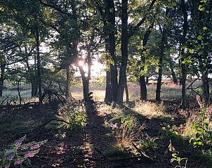 Guest house 395208 - Holiday property Zuid Limburg - Huisje in Mook