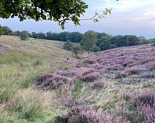 Guest house 395208 - Holiday property Zuid Limburg - Huisje in Mook