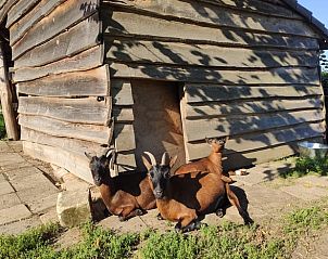 Guest house 399501 - Holiday property Zuid Limburg - Vakantiehuis in Sibbe