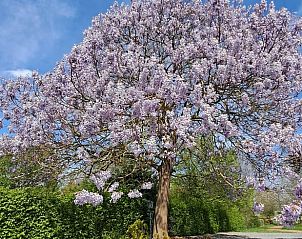 Guest house 399701 - Holiday property Zuid Limburg - Vakantiehuis in Bingelrade