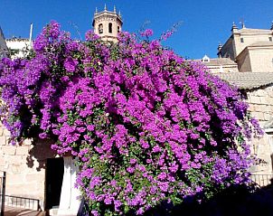Verblijf 40014101 - Vakantie appartement Andalusie - Hotel Palacio Guzmanes