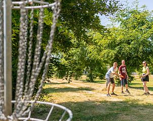 Disc golf activiteit in de natuur rondom Koetshuis & Bakhuis vakantiehuis Hoogeloon.