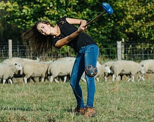 Buitenactiviteiten bij De Schuurherd en de Hoeve, Hoogeloon, met schapen in de achtergrond.