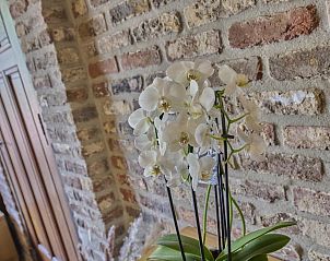 Guest house 413304 - Holiday property Kempen - De Rouwenbogt