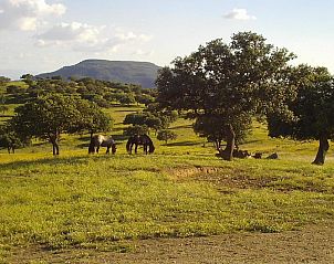 Verblijf 41514101 - Vakantiewoning Andalusie - El Añadío