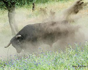 Verblijf 41514101 - Vakantiewoning Andalusie - El Añadío
