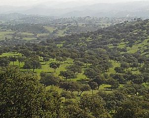 Verblijf 41514101 - Vakantiewoning Andalusie - El Añadío