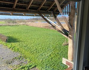 Uitzicht op groene velden vanuit Vakantiehuisje in Helenaveen, bed and breakfast in het hart van Noord Brabant.