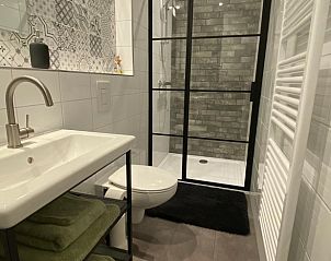 Stijlvolle tweede badkamer in Vakantiehuisje in Helenaveen, bed and breakfast in Brabant, met moderne douche en wastafel.